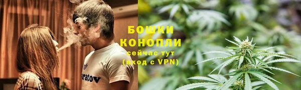 PSILOCYBIN Алексин