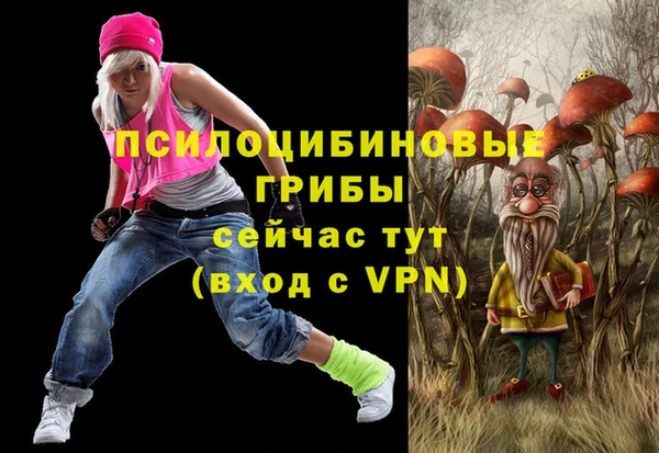 прущие крисы Алексеевка