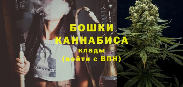 PSILOCYBIN Алексин
