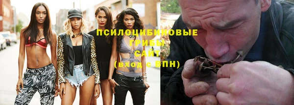 скорость Алзамай