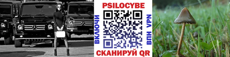Галлюциногенные грибы GOLDEN TEACHER  мориарти наркотические препараты  Новая Ладога 
